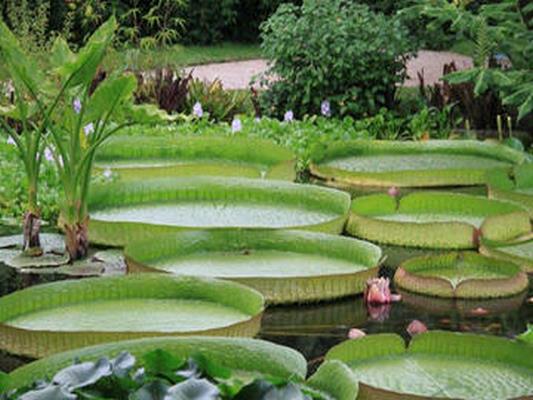 JARDIN VAL RAHMEH