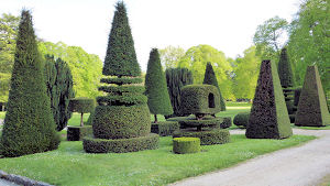 PARC D' AZAY LE FERRON