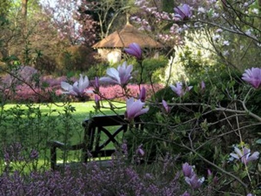 ARBORETUM DES GRANDES BRUYERES