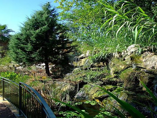 JARDIN DU MUSEE BOURDELLE