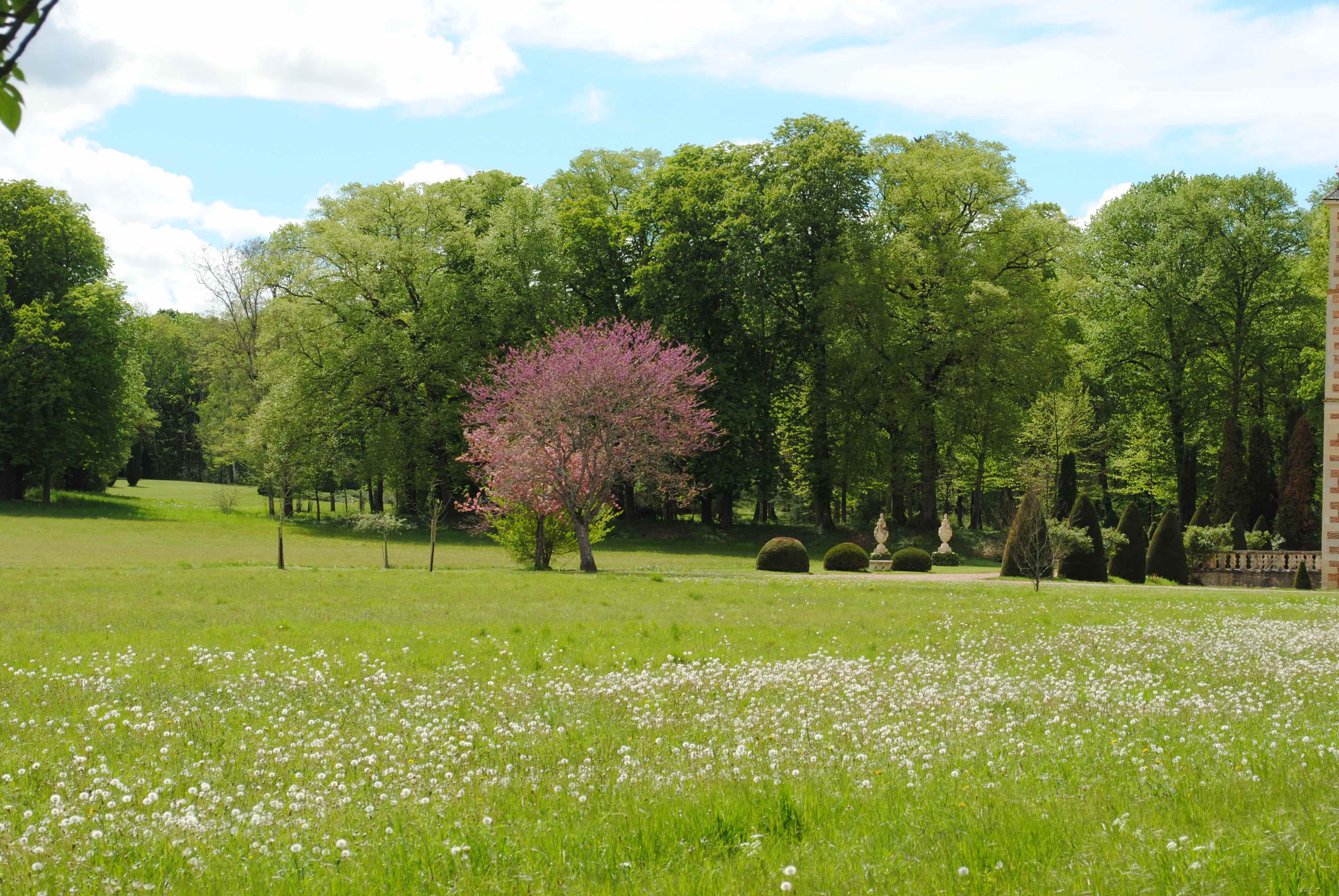 ♥♥♥ PARC DU CHATEAU DE JUSSY