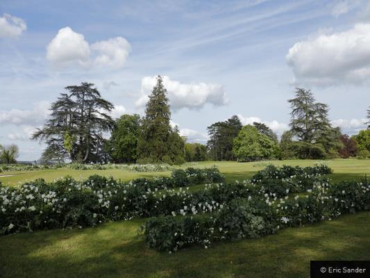  DOMAINE REGIONAL DE CHAUMONT-SUR-LOIRE