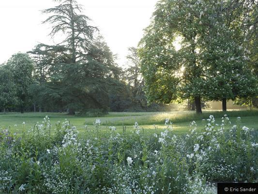  DOMAINE REGIONAL DE CHAUMONT-SUR-LOIRE