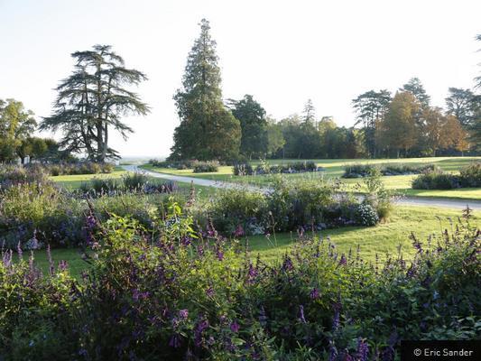  DOMAINE REGIONAL DE CHAUMONT-SUR-LOIRE