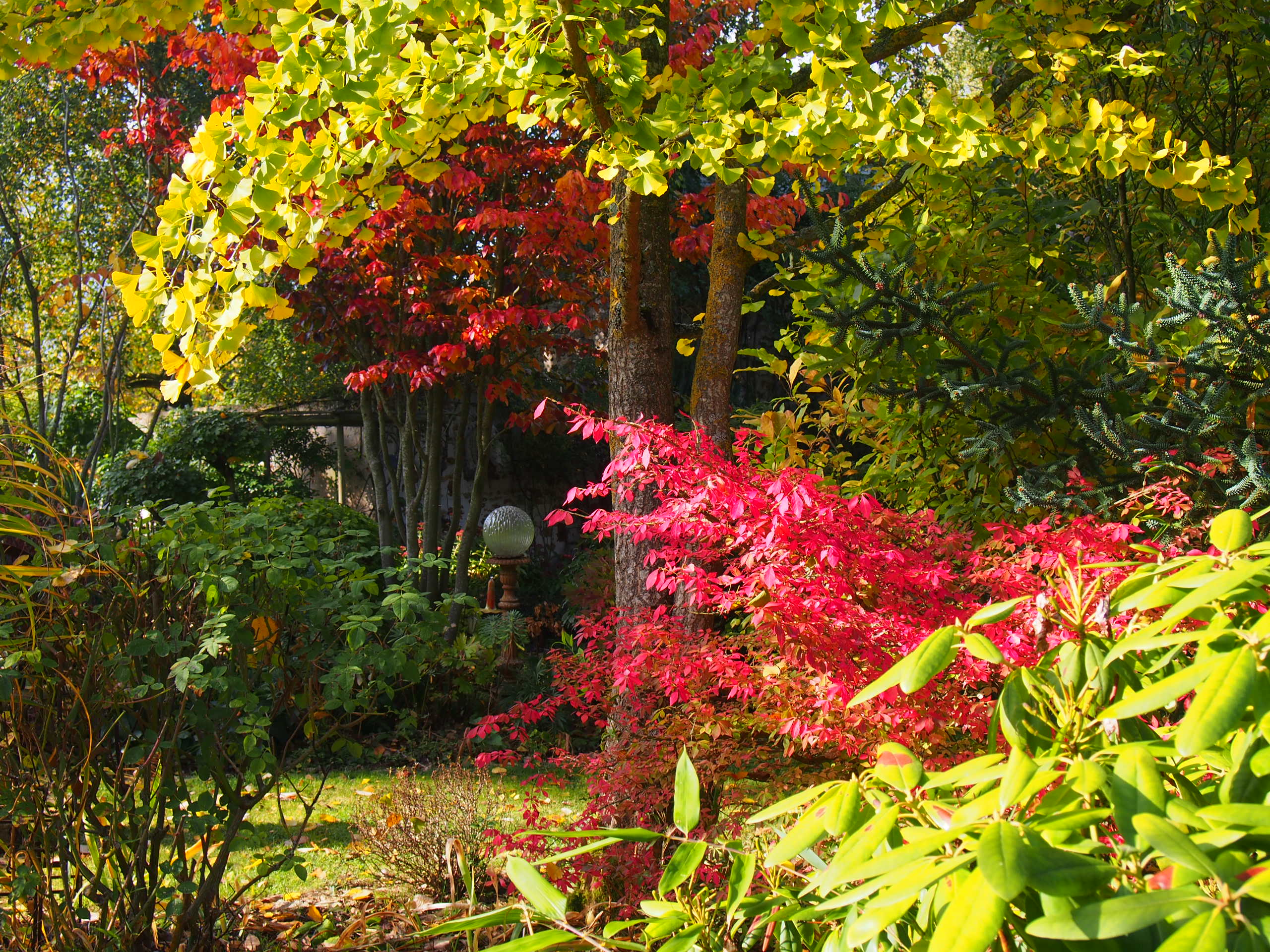 ♥♥♥ JARDIN LA PARMELIE   