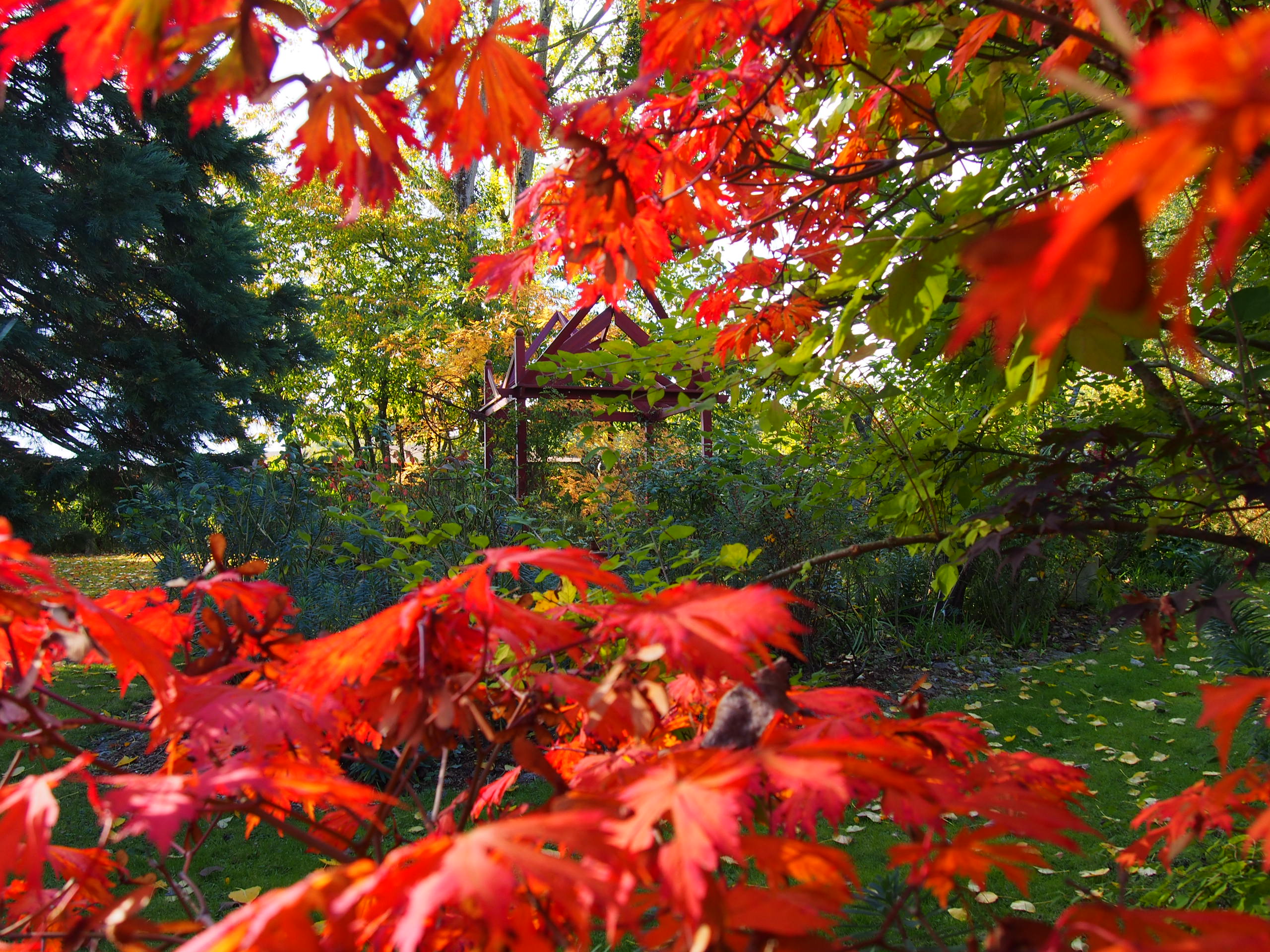 ♥♥♥ JARDIN LA PARMELIE   